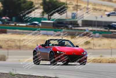 media/Mar-08-2025-Extreme Speed (Sat) [[4abb97269e]]/Blue/Turns 2  and  4 (Session 2)/